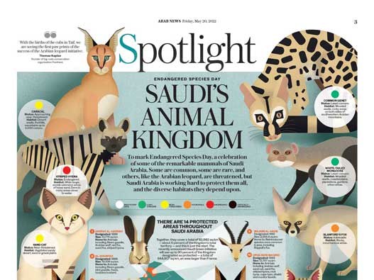 Saudi鈥檚 Animal Kingdom