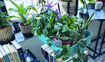 Saudi interior designer shares the best indoor plant options this winter