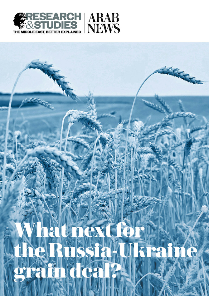 What next for the Russia-Ukraine grain deal?